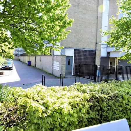 Takoda Turtle Rotterdam Bed & Breakfast