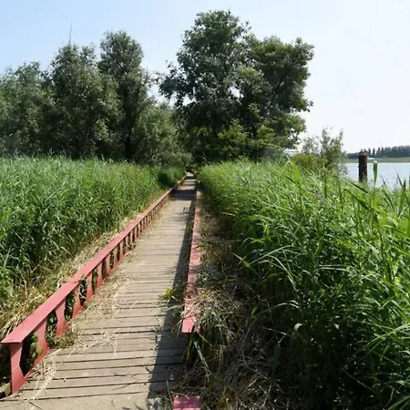 Bed & Breakfast Takoda Turtle Rotterdam Hoogvliet