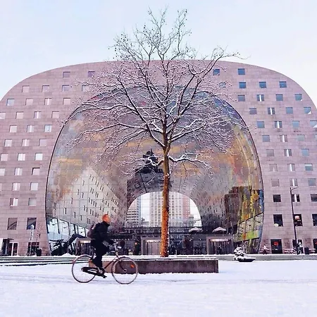 Takoda Turtle Rotterdam Hoogvliet