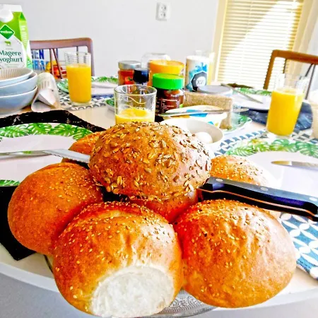 Bed & Breakfast Takoda Turtle Rotterdam