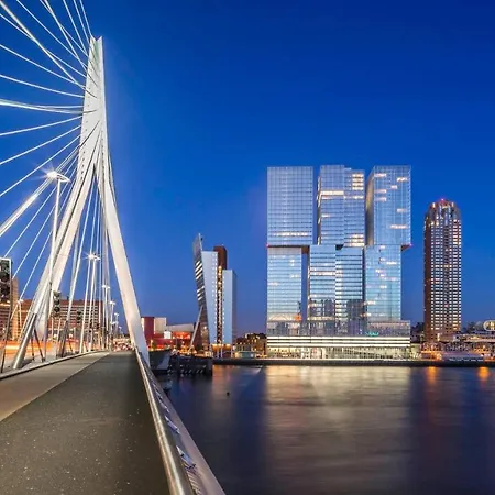 Takoda Turtle Rotterdam Hoogvliet